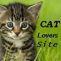 Cat Lovers Site : Anything and Everything CAT