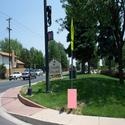 Speed Route88 : blog, tips for new bloggers, plants, nature, photography, etc