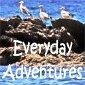 Everyday Adventures :  what life is all about.