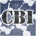 Central Blog Intelligence : Blogs & the Web