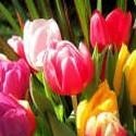 The Joy Of Life Forever : Join with me