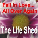 The Life Shed : Love is Airborne