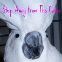 Step Away From The Cake : 