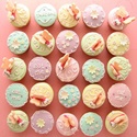 cupcakes : cupcakes