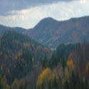 Red Pine Mountain : life on our farm