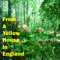 From A Yellow House In England : The experiences of an American expat
