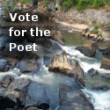 Vote for the Poet : Cast your vote for the best poems!