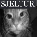The world according to Sjeltur : The world according to Sjeltur
