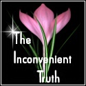 The Inconvenient Truth : Making life messy
