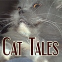 Cat Tales : cats, feline, pets, hobbies