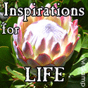 Inspirational Stories from the Net : Inspirational Stories to lift the spirit