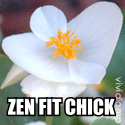 Zen Fit Chick : 