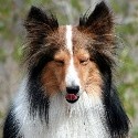 Resq Tails : 