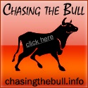 Chasing the Bull : There is always a Bull Market Somewhere