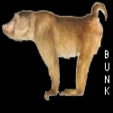 BunkmonKee : Someone will find it funny or interesting sooner or later!