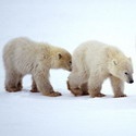 My Tramping View : news, reviews, article, interesting stuff