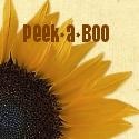 Peek-A-Boo : 