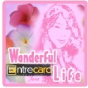 Wonderful  Life : blogging, personal, food, entertainment, 