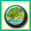WanNo Journey : personal,jokes,infomation,blogs,lyrics,song,MP3,politic,current issues
