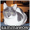 sammawow : 