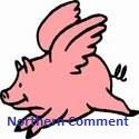 Northern Comment. : Covering the weird and wacky news stories.