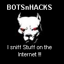 BOTSnHACKS : Game Cheats, Blog Hacks, MoneyMaking, Gaming News Etc...