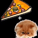 Pizza and Cats : Bringing You the Best Pizza and the Best Cats!
