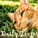 Daily Ginger : Ginger is not a coloration, it's a lifestyle!