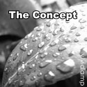 The Concept : 