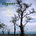Leguan : Learn, empower yourself and help heal the world.