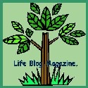 life blog magazine  : 