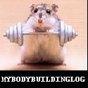 MyBodybuildingLog : 