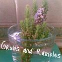 Grubs and Rambles : Personal Diary, Grubs, Food, Rambles, Life, Cat, Work, Cooking