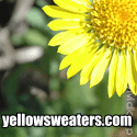Yellow Sweaters.com : Because Life Is Better In Yellow
