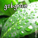 B Green : g2bgreen.com