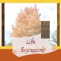 Life Expressions : general living, family, parenting, health, 