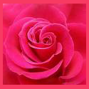 Beauty and Fashion : 