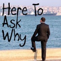 Here to Ask Why : Views on the Information Technology Industry, Management, Careers, and Life