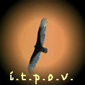 In The Presence of Vultures : The world is full of vultures, waiting to pounce on the decaying society.