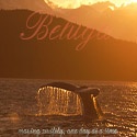 Beluga : Being creative, being free..