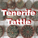 Tenerife Tattle : Go with the flow...
