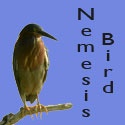 Nemesis Bird : birding in Pennsylvania