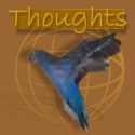 Thoughts : 