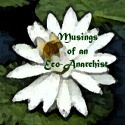 Musings of an Eco-Anarchist : Anarchy
