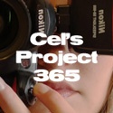 Cel's Project 365 : A Picture a Day
