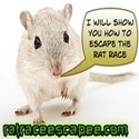 Escape The Rat Race : 