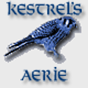 Kestrel's Aerie : An Eclectic Collection of Musings for the Dedicated WoW Gamer