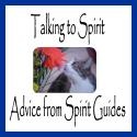 Talking To Spirit : Making Psychic Ordinary