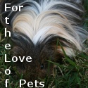 Foe The Love of Pets : pets, guinea pigs, critters, animals