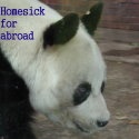 Homesick For Abroad : Hong Kong, Vietnam, Philippines, Sri Lanka